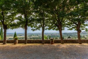 Apartment In A Farmhouse Overlooking Val Di Chiana