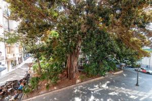 Modern 3rd floor loft in Alicante