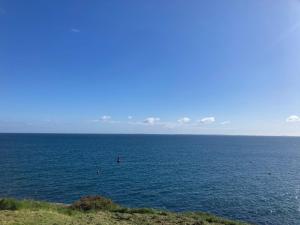 Appartements Studio renove avec parking, wifi, proche plage et centre - FR-1-418-93 : photos des chambres