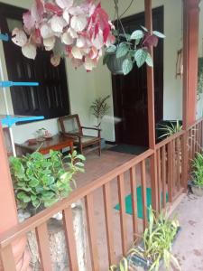 Minu Homestay & Villa