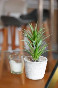 Bluestay 239 - Superbe appartement à Pigalle