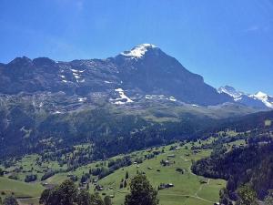 Chalet Bachsbort 14 - 3-star hotels in Grindelwald
