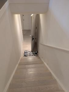 Golden Pagoda Retreat