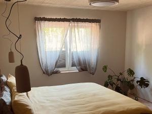 Pāvilostas Šīfermāja