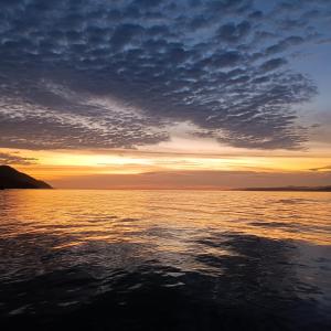 Raja Ampat Tapordura Homestay