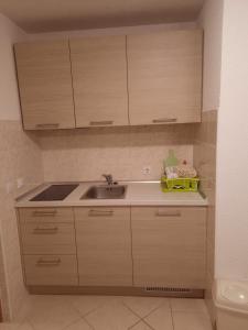 Apartments Miletic J-I