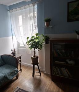 Appartements Summerfields : photos des chambres