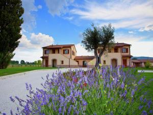 Villa in Cannara with Pool near Assisi