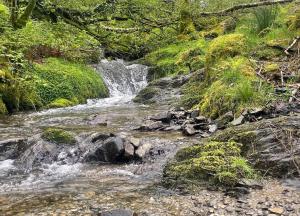 Pass the Keys Y Bwythn Welsh Countryside Retreat UK Getaway