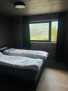 Flott hytte i Sogndal skisenter-Hodlekve