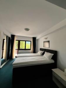 Silvia Chalet Poiana Brasov