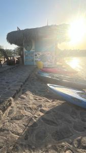 شقه المونتانا جزيره الأحلام