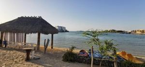 شقه المونتانا جزيره الأحلام