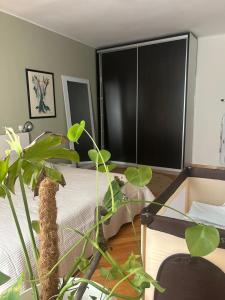 Elegant Art City Apartment