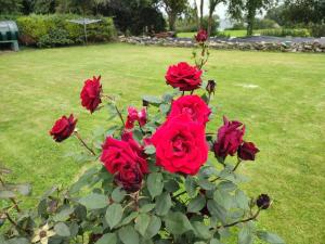 A place in the country