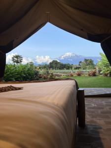 Kibo View Farm Lodge