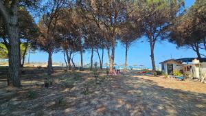 Molla Garden Apartment