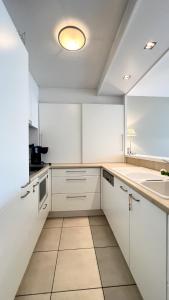 2025-002 - Zeerobben - Knokke Dreams