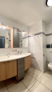 2025-002 - Zeerobben - Knokke Dreams