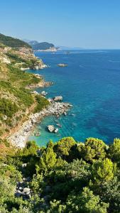 Seaview Retreat Reževići