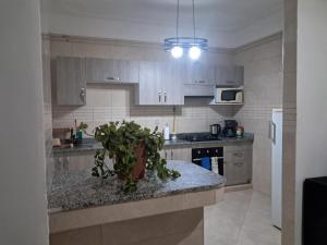 Un bel appartement T3 climatisé, comprenant un hall et deux balcons, accessible par escalier ou ascenseur, situé dans une résidence fermée et gardée