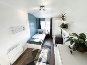 Spacious Single Room