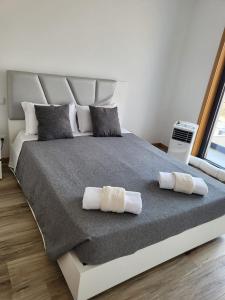 Villa Machado Chaves