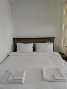 Durmitor Peaks and Pines