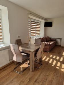 Vytautas central apartament