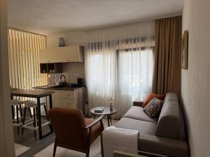 Durmitor Peaks and Pines