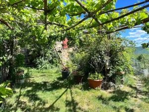 Maison charmante à Val-dAigoual avec jardin