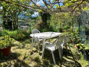 Maison charmante à Val-dAigoual avec jardin