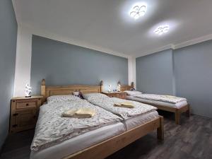 Párty penzion Dolany