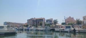 Appartements Studio hypercentre vue mer : photos des chambres