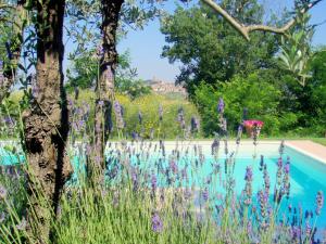 Cottage in Val di Chiana