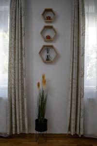 Apartment Sofyas Home