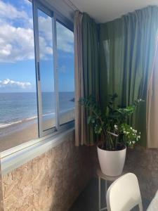 Seaside accommodation in Playa del Aguila - Ubytování bez kategorie ve městě Maspalomas