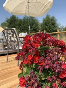 Tentes de luxe Canvas chill-out : photos des chambres