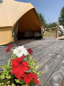 Tentes de luxe Canvas chill-out : photos des chambres