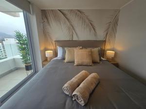 HOM I A Pasos del Faro La Serena con Parking 1D1B