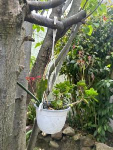 Villa De Leyva El Refugio de la Villa