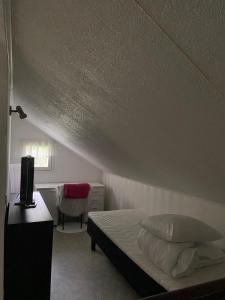 Iso omakotitalo luonnon keskellä