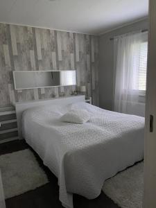 Iso omakotitalo luonnon keskellä