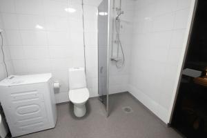 Spacious Apartment for 3