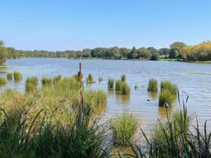 Campings Chalet Camping du grand fay : photos des chambres