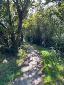 Campings Chalet Camping du grand fay : photos des chambres