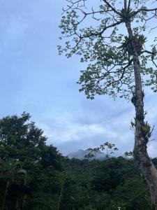 Glamping Finca garza del sol