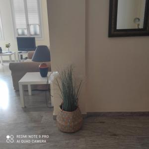 Beachfront, sunny ground-floor flat