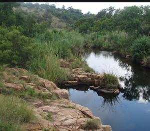 129B African Bushveld