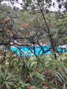 129B African Bushveld